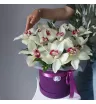 Орхидеи в бархатной коробке «Принцесса Мия» 2