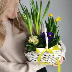 Первоцветы в корзине Ранняя пташка  от интернет-магазина «VeraRosa»
