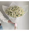 Полевые цветы 3