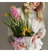 Весенний садик Розовый гиацинт 