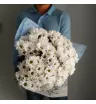 Букет из 13 кустовых хризантем 